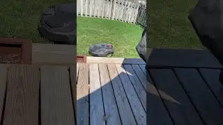 Husqvarna 315x Mowing