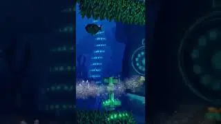Easter Egg en Donkey Kong Country