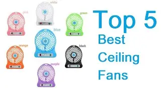Top 5 Best Ceiling Fans | Best Review Lab
