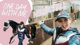🤯ERTER TAG am NEUEN STALL🐴