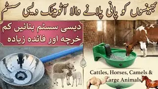 Automatic water system cow farm | How to make automatic water system in dairy farm