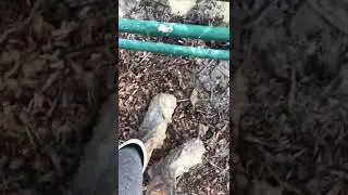 Two words. Mud season 🤢