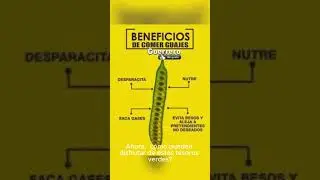 Huajes - Guajes: El sabor y la salud de M&eacute;xico en una vaina 🌿🌰  #alimentossanos #vidasaludable