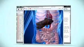 Radar OPUS: the Ultimate Homeopathic Software