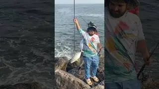 Yellow spot trivally #fishing #fishingmethods #fish #fishking #fishingtechniques #kl18fishing