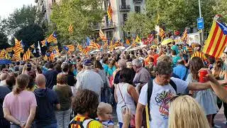Barcelona Diada 2019