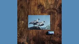 Fine Before You Came - Come alberi