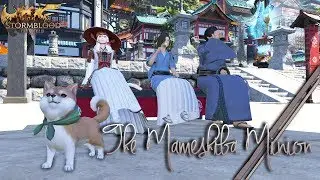 FFXIV: Mameshiba Minion