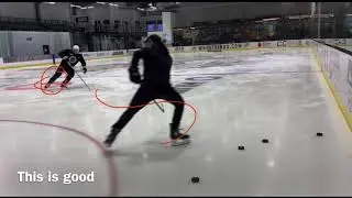 NHL skills: Closing gaps in the NZ