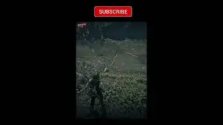 Is the Legendary Beaver Pelt REALLY Worth It in RDR2?