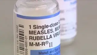 Understanding vaccines: How they work and why they're important