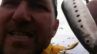 Baltic-berings-03.MOV