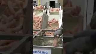 DILDOS MANUFACTURING