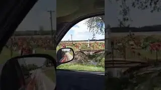 Guinness World Record for most Tractors.
