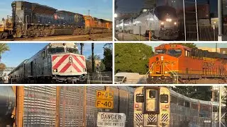 Heavy Action at Fullerton! (1/17/26)