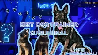 𝕯𝖔𝖌 𝕿𝖗𝖆𝖎𝖓𝖎𝖓𝖌 𝕾𝖚𝖇𝖑𝖎𝖒𝖎𝖓𝖆𝖑 (𝔖𝔞𝔣𝔢)