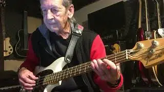 Shakin' Stevens - You drive me crazy - Bass Cover 8053