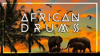 AFRICAN DRUM MUSIC &bull; Tribal Beats &bull; Shaman Dance &bull; Unleash your Primal Self