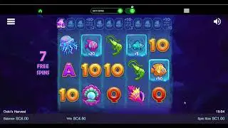 No * Octo's Harvest * 1.00 bet bonus * Crown Coins Casino * How'd it go?
