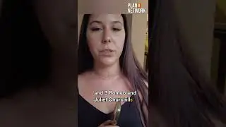 Buying Cigars in Cuba for Bitcoin in 2023