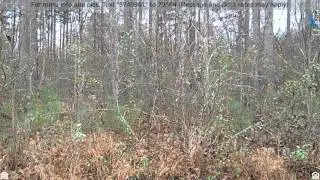 Priced at $15,000 - LOT 6 BANK ST, Sussex County, VA 23890