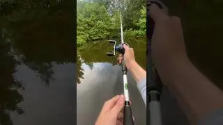fishing been slow lately. #trending #bassfishing #viral #fishing #views #explore #fy #reels #nature