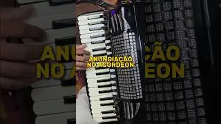 Esse &eacute; um cl&aacute;ssico nordestino, e temos aula completa na plataforma do Gaiteiro Raiz✅