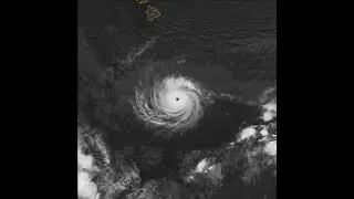 Hurricane/Typhoon Dora (2023) [old version]