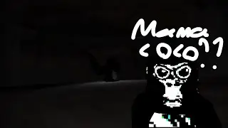 Encountering Mama Coco for the first time... (Gorilla Purgatory)