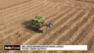 India's Monsoon Delay Likely to Hit Crop Output