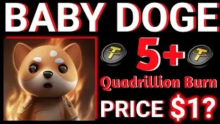 Burn 5+ Quadrillion coin ! price 1$? ! baby  doge latest news hindi ! baby doge price prediction !