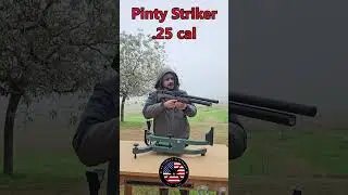 Pinty Striker &mdash; первый взгляд #охота #pinty #pcp #пневматическое оружие #пневматическая винтовка ...