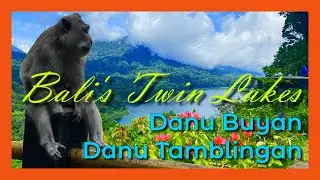 BALI'S TWIN LAKES in a VOLCANO CRATER - POSTCARD PERFECT Lake Tamblingan & Lake Buyan