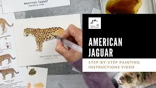American Jaguar watercolor tutorial: EASY/beginner. Nature Sketch Crate step-by-step lesson kit.DIY