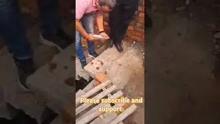 NDT testing #civilengineering#test#engineering#education#knowledge#instagram#funny#facebook#ytshorts