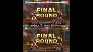 SFV Frame Drops & Netcode Problem