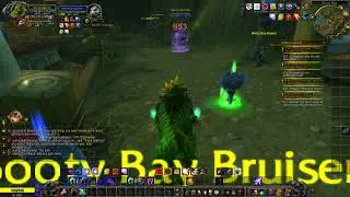 Ascension WoW when to use a pet, and some builds that go well with them.