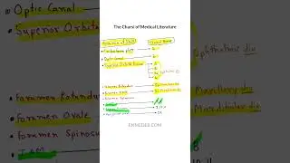 Skull foramen v/s Cranial nerve #enmeder