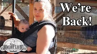 CATCHING UP ON CHORES AROUND THE HOMESTEAD. homesteading vlog