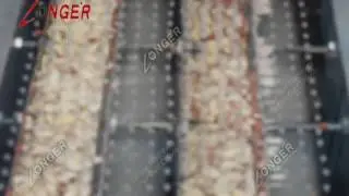 Roasted Peanut Red Skin Removing Equipment|Dry Groundnut Peeling Machine