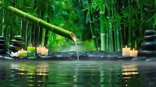 Relaxing Music for Stress Relief, Calm, Study  Beautiful Nature & Rain Sounds