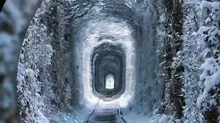 ​