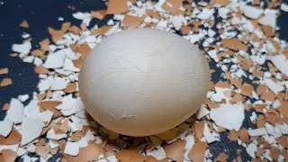 RAW EGG PEELED PERFECTLY..100% WITHOUT BREAKING