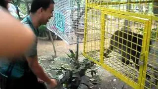 SDC12015.AVI
