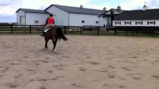 Barnabas aka Barney