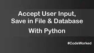 Store User Input In File & MySQL Database With Python #mysql #learnpython #learncoding