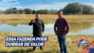 Essa Fazenda Pode Dobrar o Capital | 50 Acres na Flórida 🇺🇸 (EP. 4)