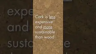 Affordable Sustainable Flooring: Cork! #sustainable #shorts