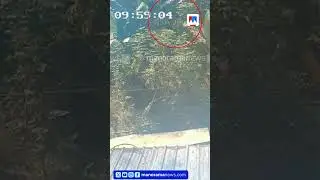 ഇലന്തൂരിൽ സൈക്കിൾ ഗേറ്റിലിടിച്ച് 14-കാരൻ മരിച്ചു | Pathanamthitta