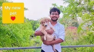 I adopted a puppy 🐶 || new family member added || cute dog ☺️ #vlog